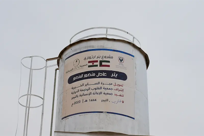 Read more about the article Adel Mansour Al-Mansouri Well – Fankoui, Niger 